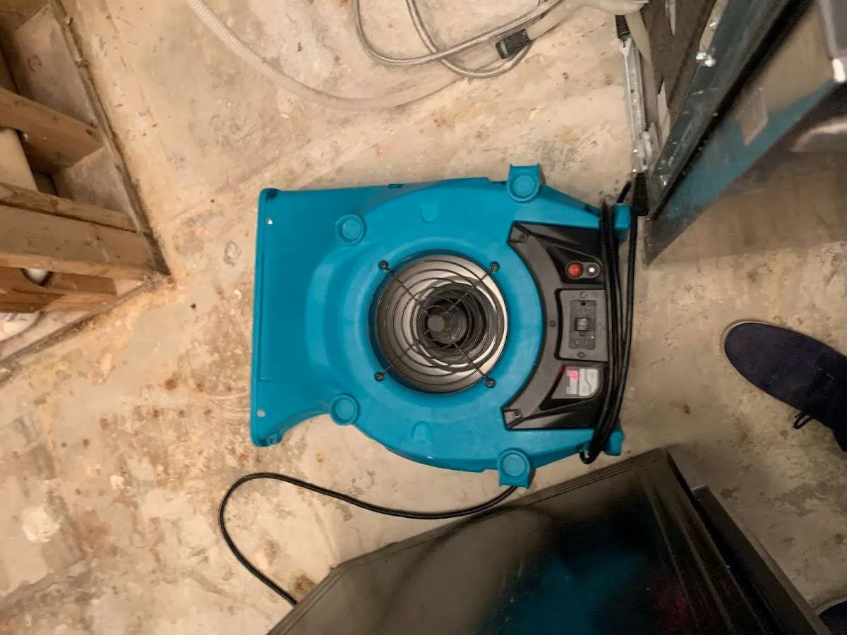 Air mover drying equipment for Mold Remediation & Removal in Winterset